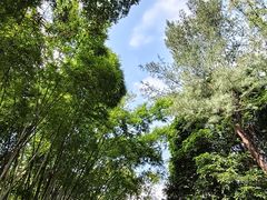 -晓港公园