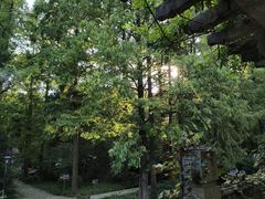 -音乐台