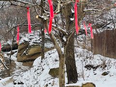 -黑龙潭风景区