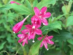 -北京宽沟会议中心