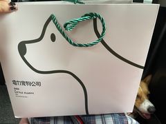 -電力宠物公司(武定路店)