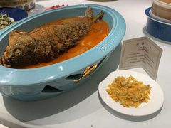 -阿五黄河大鲤鱼(英协路店)
