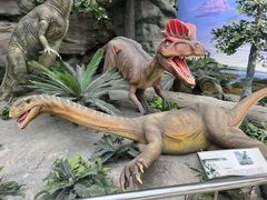 -国家自然博物馆