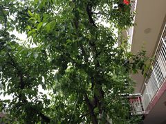 -何适山庄 ·可团建(水长城P2停车场店)