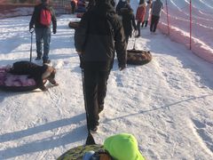 -绿野森林乐园冰雪季