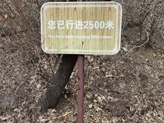-双龙峡