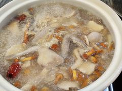 -鸽鸟轩(石岐店)