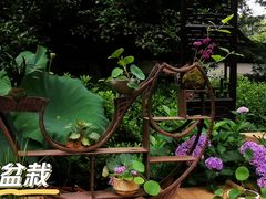 -杭州植物园