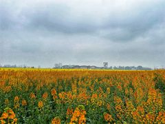 -中国天府农业博览园