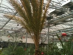 IMG_0426-龙凤山庄(永定镇店)