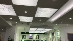 点击看大图 -大树儿童摄影