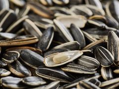 核桃味葵瓜子-刘艳明炒货(小心桥店)