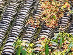 -东山雕花楼