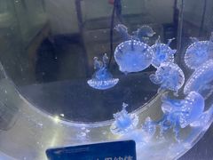 -杭州长乔极地海洋公园