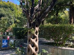 -广州神农草堂中医药博物馆