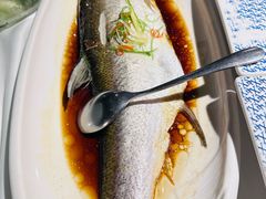 黄椒蒸翘嘴白鱼-羲和雅苑•北京烤鸭(陆家嘴中心店)