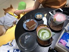 -逗柴咖啡屋·狗咖猫咖宠物桌游
