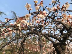 -白塘生态植物园