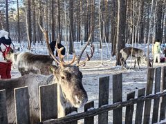 -北极村旅游风景区