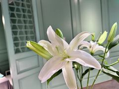 -南堂馆·新川菜(春熙路店)