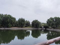 -长春公园(普阳街道)