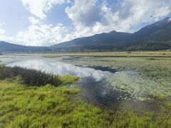-腾冲北海湿地