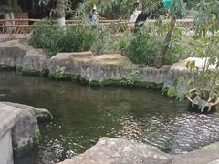 -昆明动物园