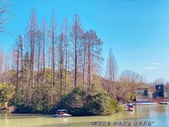 -上海滨江森林公园