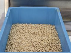-采芝斋评弹茶馆(观前街店)