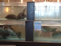 水产区-大铁勺新津菜(东丽阳光新业广场店)