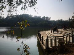 -南国桃园旅游度假区