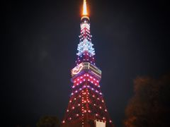 -东京塔海贼王主题公园