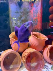 -Zoolung Zoolung动物主题公园(海信广场店)