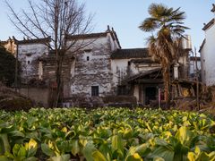 -婺源风景区