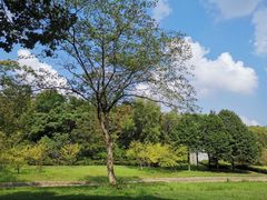 -宜兴龙背山森林公园