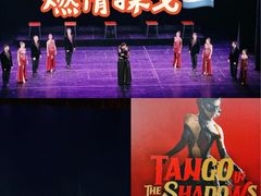 -上海东方艺术中心