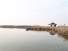 -宁波杭州湾国家湿地公园