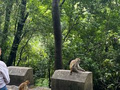 -土风豆米火锅(鸿通城店)