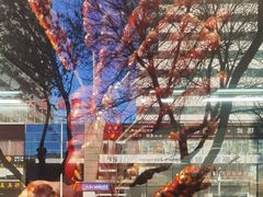 -二斗栗子(黄河道店)