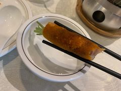 -丁老爷子苏香圆