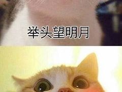 -丁香湖丁香小镇Citypark滑雪公园戏雪嘉年华