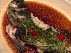 清蒸石斑-无锡苏宁银河国际酒店-悦府65中餐厅