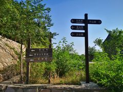 -阳台山自然风景区