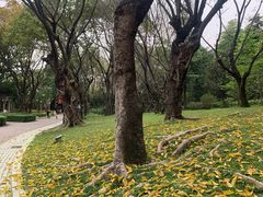 -云溪植物园