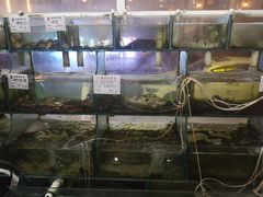 水产区-来之顺海鲜菜馆·青岛菜(栈桥店)