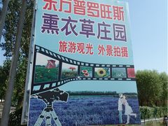 -北京东方普罗旺斯薰衣草庄园