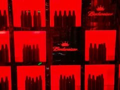 -百威KTV(恒福路店)