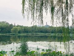 -北坞公园
