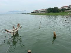 -观澜小洱海