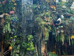 -正佳雨林生态植物园
